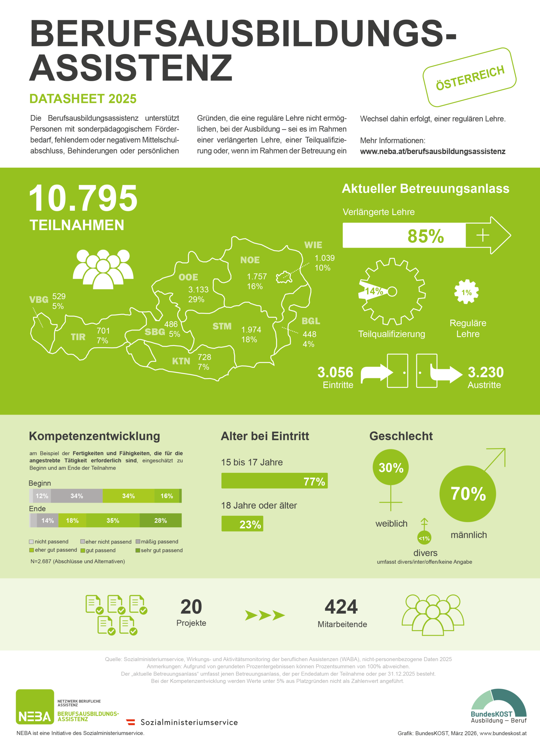 Darstellung Berufsausbildungsassistenz Datasheet 2024 (PDF)